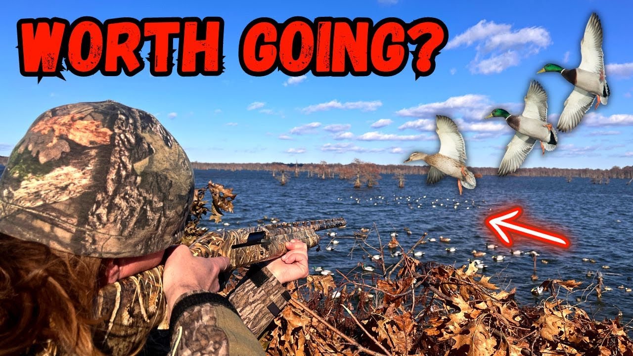 Reelfoot Lake Duck Hunting...Worth Going? YouTube
