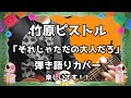竹原ピストル それじゃただの大人だろ 弾き語りカバー 竹原ピストル それじゃただの大人だろ 弾き語りカバー