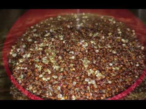 Spinach Mint Quinoa Salad and Roasted Vegetables