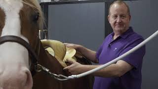 HOW TO FIT A SADDLE TO A HORSES BACK PROPERLY