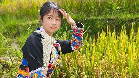 Dân Tộc Dao Đỏ Tây Bắc