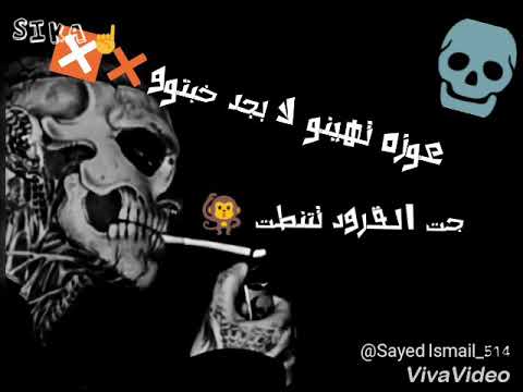 اسد مسيطر ف غبتو