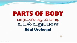 Vocabulary About Parts Of Body Including Tamil Meaning Part 1 Youtube