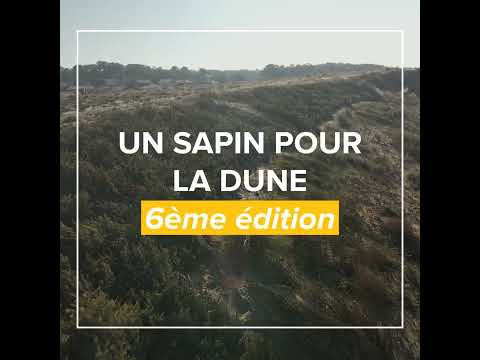 [ UN SAPIN POUR LA DUNE 🌲👥 ]