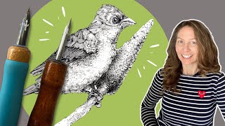 Step-by-step drawing of a bird with dip pen and ink screenshot 5