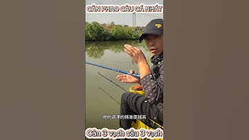 Hướng dẫn cân phao câu cá nhát ,Cân 3 câu 3#fishing #moicauhagia #fish