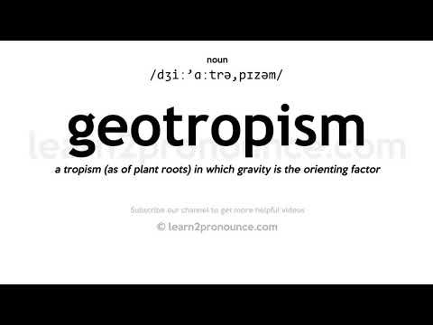 Геотропизм айтылышы | Geotropism аныктоо