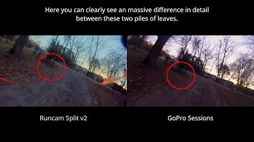 Runcam Split 2 vs GoPro Hero Session: Before You Buy