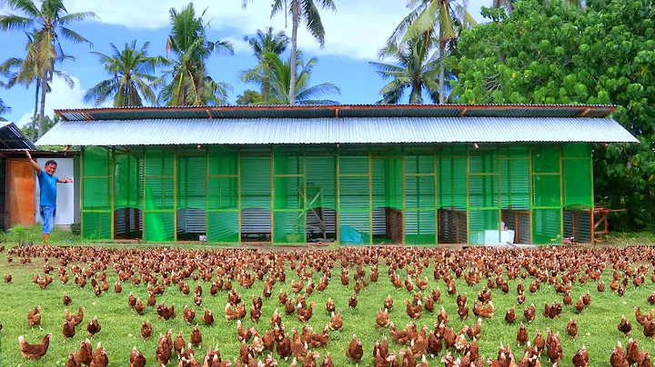 Harvesting hundreds of eggs & Breeding pen is fina...