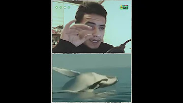 صوته يحاكي ناشونال جيوغرافيك 