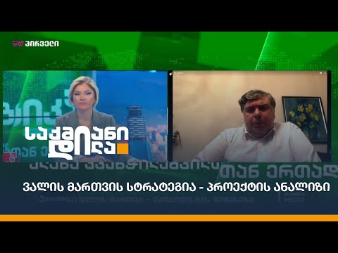 ვალის მართვის სტრატეგია - პროექტის ანალიზი