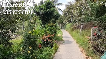 T286❤️Bán miến vườn đường ôtô,ở xã cẩm sơn cai lậy tiền giang