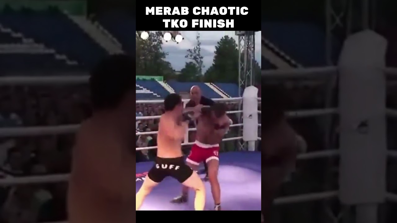 That Time Merab Dvalishvili Went Berserk For TKO Finish- 