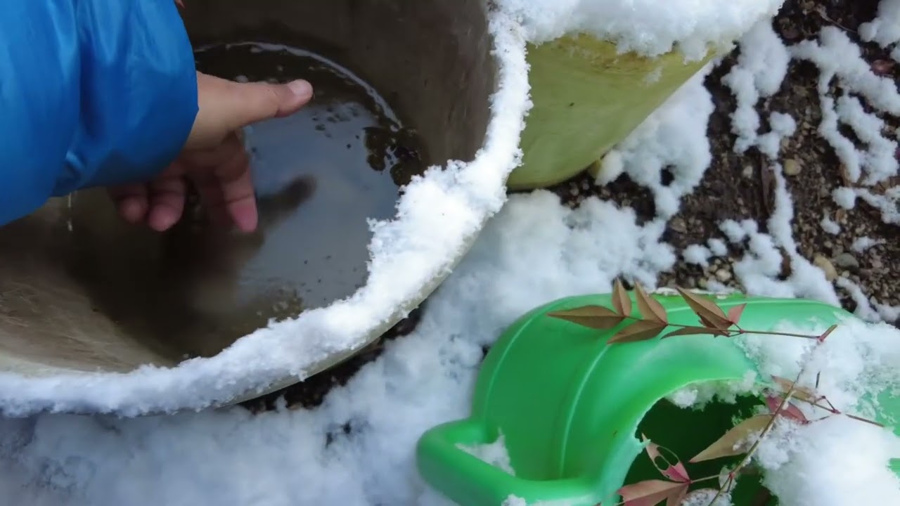 Bersalju memutih semua Hiroshima shi jepang