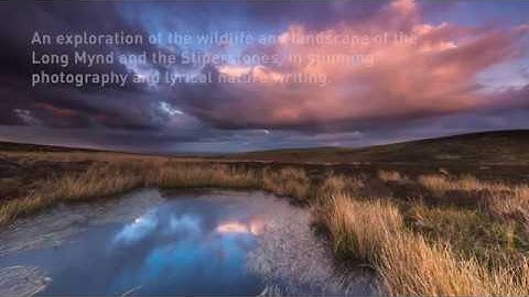 Upland by Andrew Fusek Peters