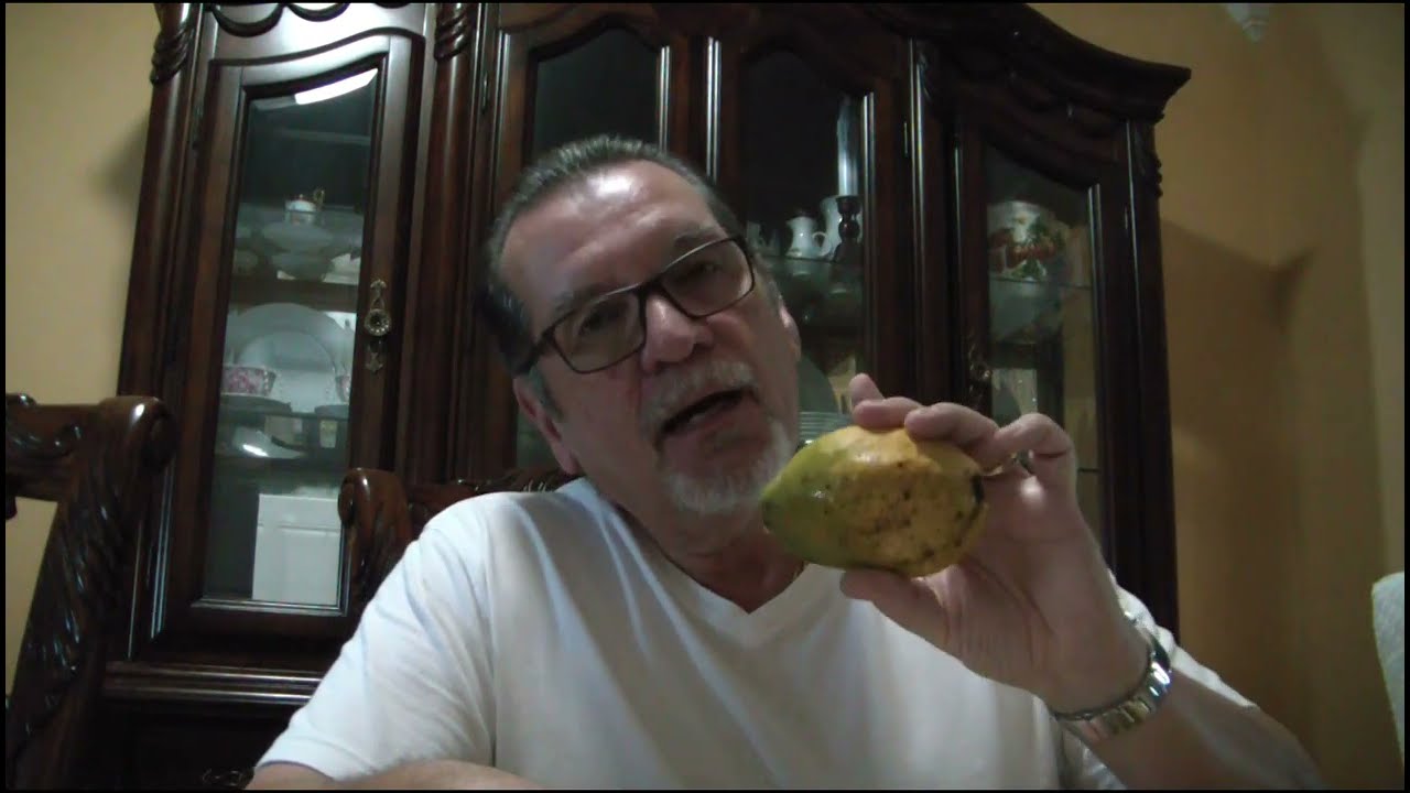 Pina Colada Mango Taste Test