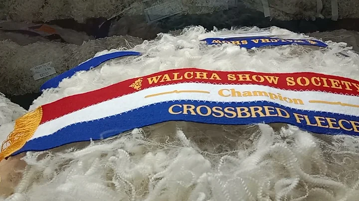 @christopherpear...  #Walcha Wool Section 2023 Wal...
