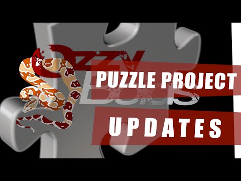 OD Puzzle Project Update