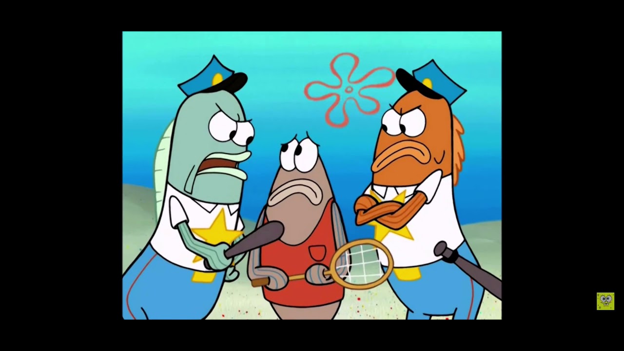 Quasi Gummy Chewy Candy Fish YouTube