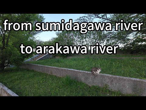 Sumidagawa river to arakawa river walking tour | 隅田川 | 荒川 | Tokyo Japan | 2024-05 | 4K