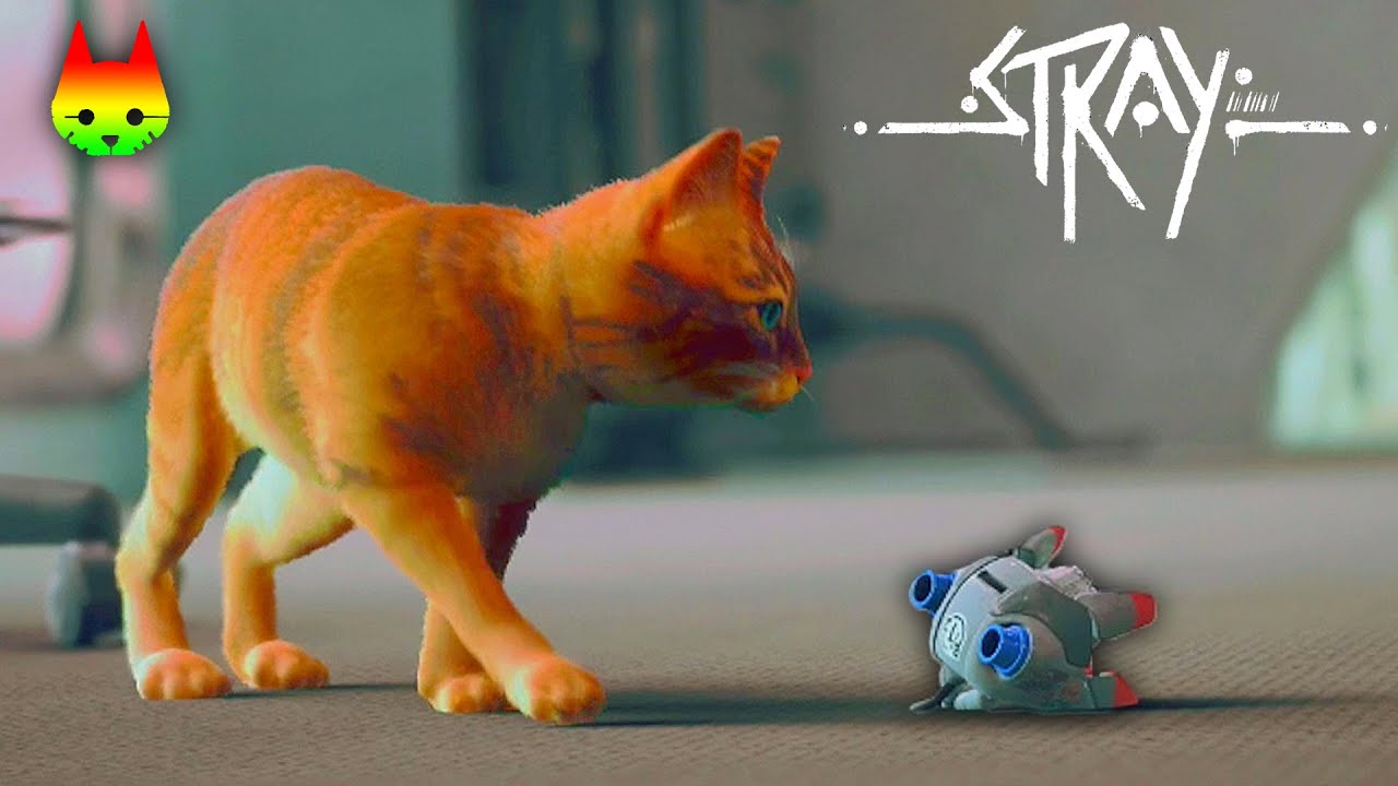 We'll see each other again, right? 😿🤖 #3 [Cat Game Stray