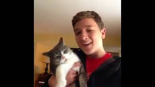 Cat Attacks Vines Compilation Jack Dytrych full