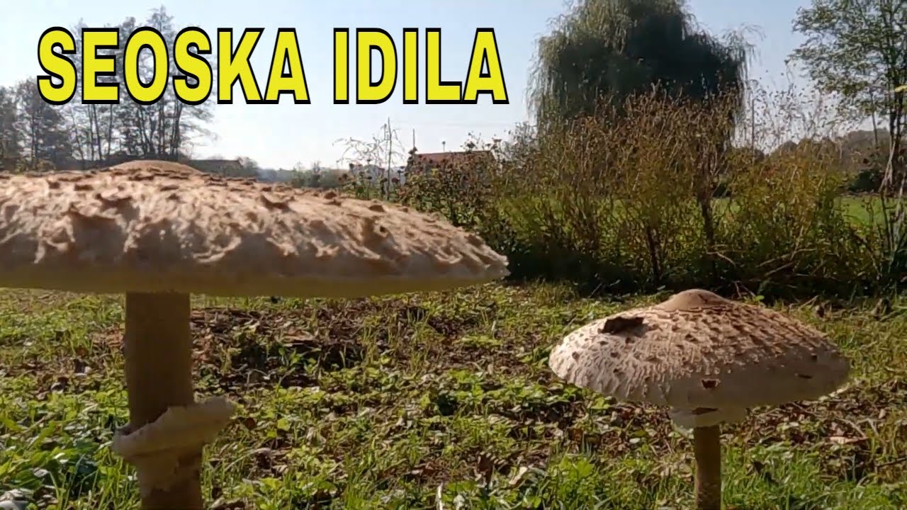 SEOSKA IDILA 2022.g - Staro Selo Topusko