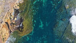 Spearfishing Sydney’s hidden gem 
