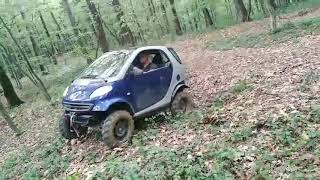 Smart Fortwo offroad