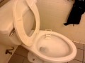 Awesome power of publix toiletsstrange gerber toilet