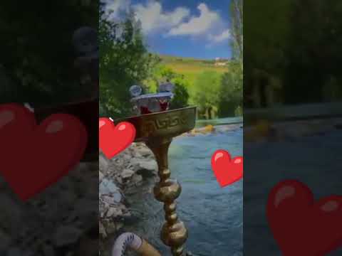 حالات واتس اب عدي الزاغة من دونك مابعيش