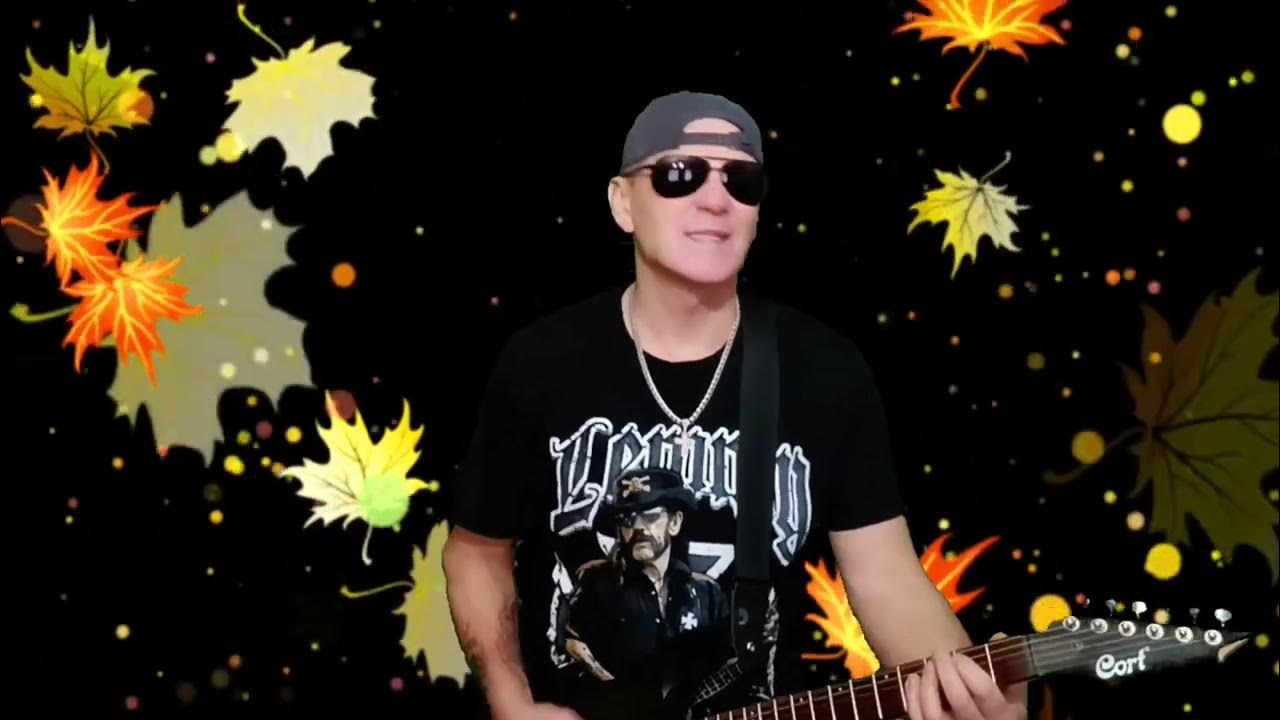 Немного листов. Немного листов. Кленовый лист. Зеленые листочки. Листва фото.