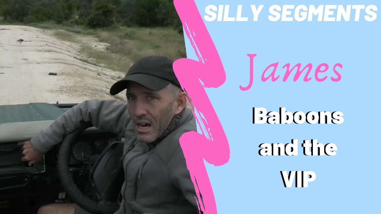 James Hendry - Baboons and the VIP Guest