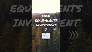 Cash Equivalent: Exploring Alternative Financial Instruments yshorts essaytips essaywriting