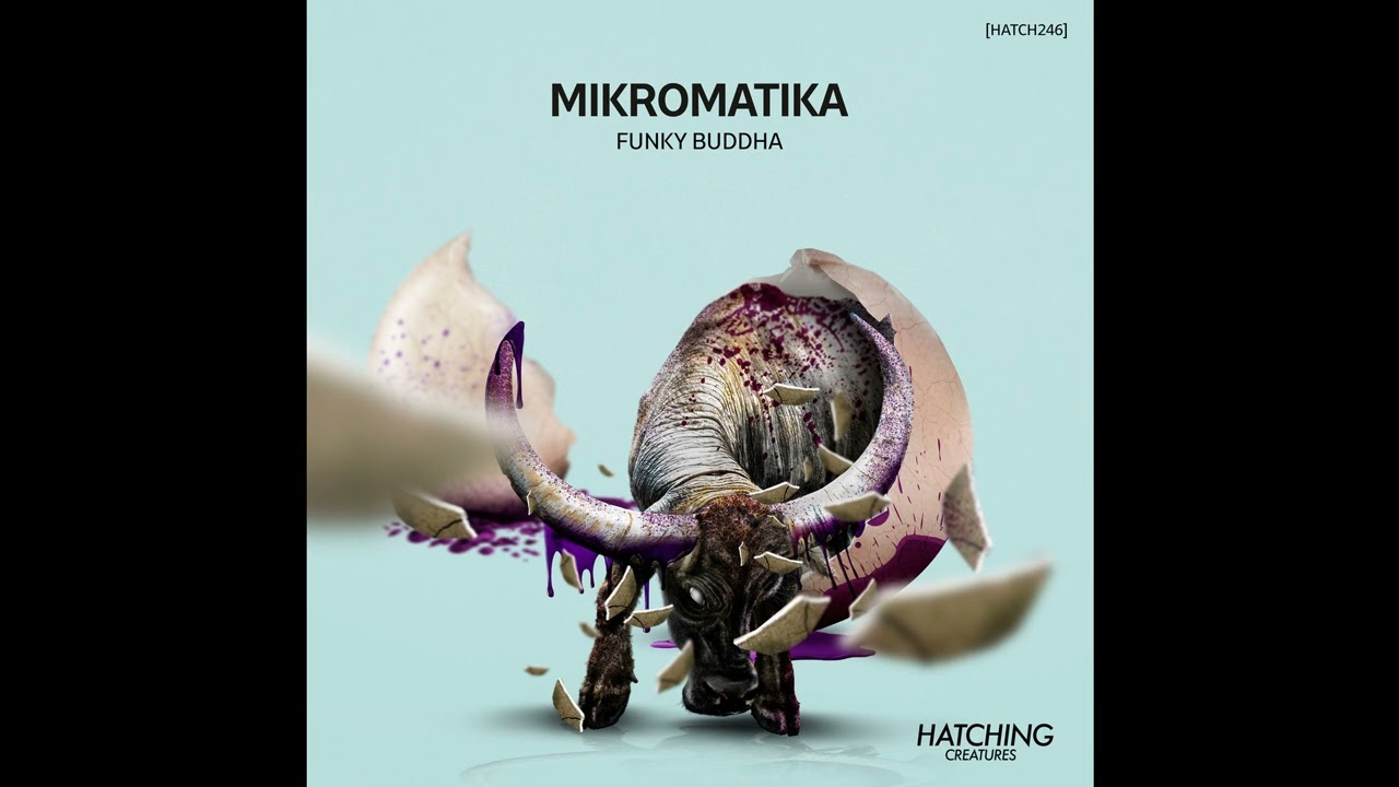 Mikromatika - Funky Buddha (Original Mix) HC MASTER