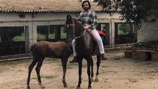 Veer Sahu | Horse riding | reval chal।