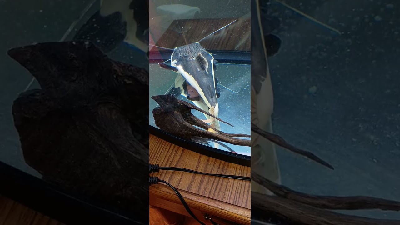 Cleveland word /Channel Red2-m5z 👍