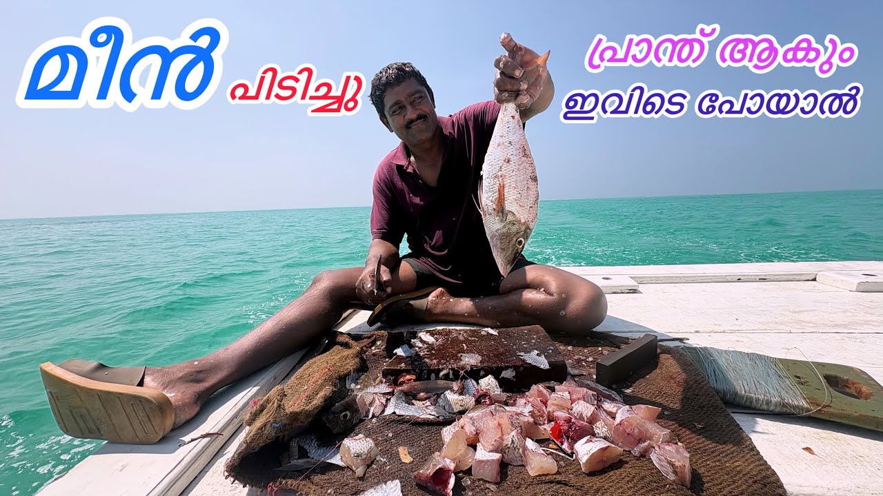 ഇതുപോലൊരു മീൻ കാഴ്ച ഇവിടെ മാത്രം