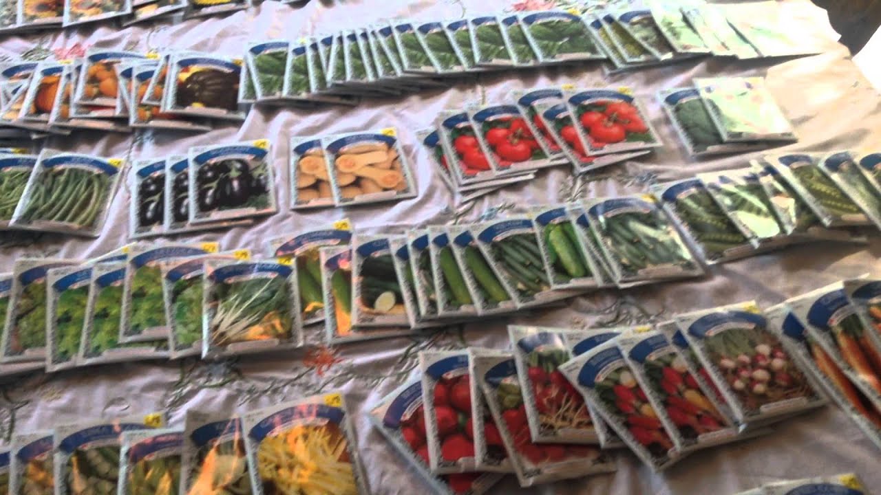 Dollar General seed sale! YouTube