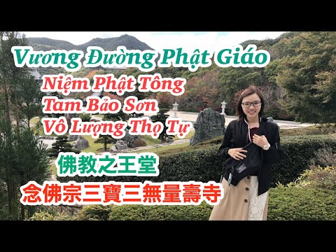 Video Chùa ở Hyogo - Vương Đường Phật Giáo - đẹp mê lòng -... - youtube