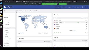 Understanding the visitor metric within Matomo Analytics