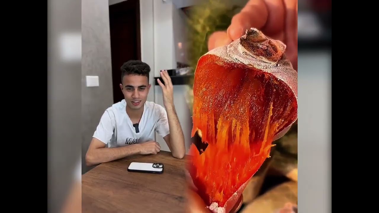 مجموعة فيديوهات مضحكة، أفضل مدونة، أحب عملك