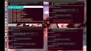 Network Programming Project