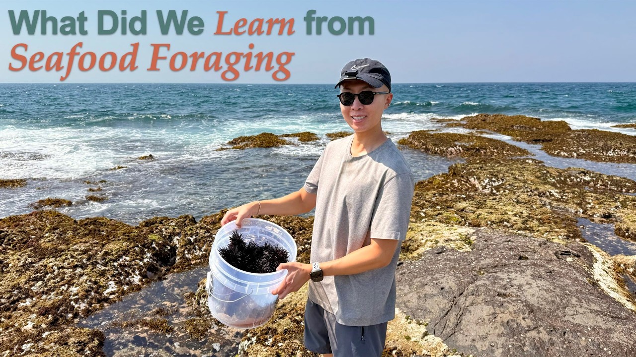 Foraging Ocean Native First time seafood foraging, and what I learned - YouTube