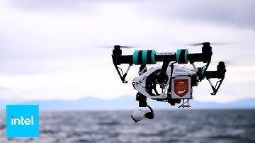 How AI Creates Safer Whale Research | SnotBot | Intel Business
