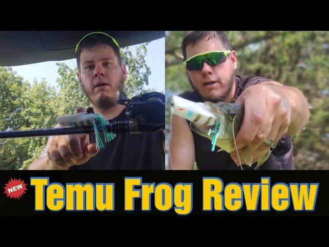 Fishing a TEMU Knockoff Frog (Jackall Gavacho) 