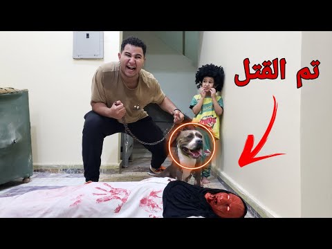قتلت ملك الجن اشرس كلب في عالم