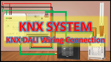 KNX System KNX DALI Wiring Connection | Electrical Engineering Basics #knx #electrical #engineering