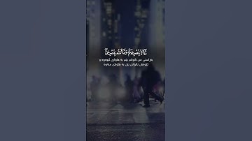 سعد الغامدي سورة إبراهيم Saad Al Ghamidi Surah Ibrahim