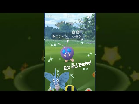 ポケモンgo コンパンの入手方法 能力 技まとめ 攻略大百科